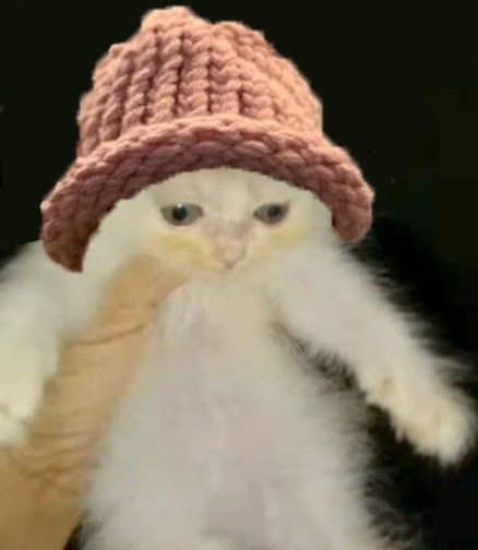 cat with hat